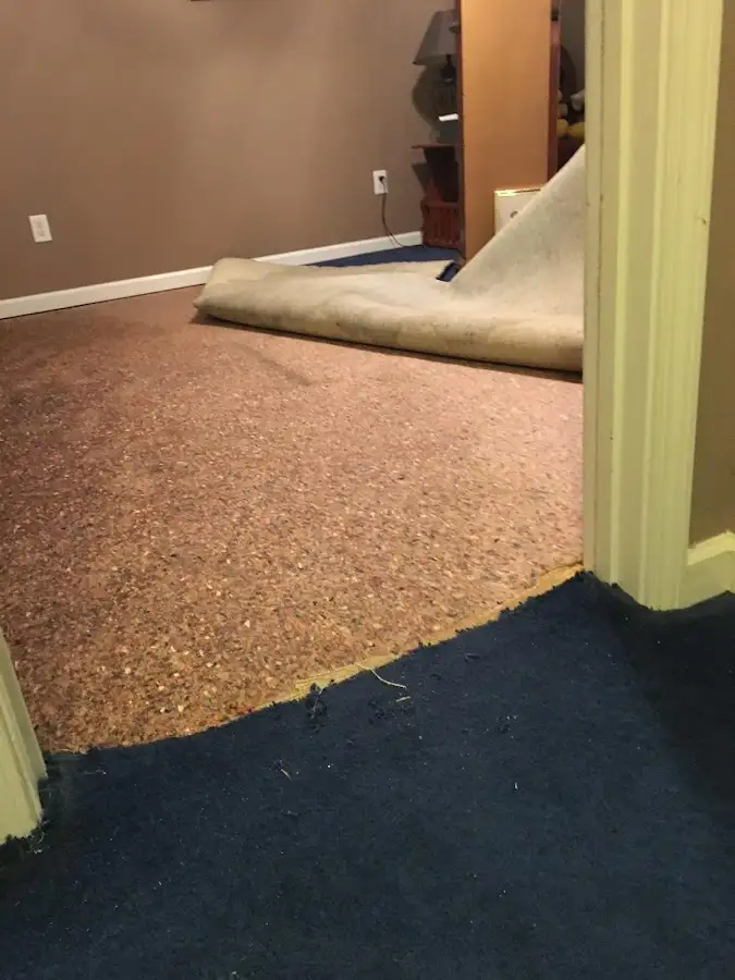 Carpet pad removal revealing water damage during Water Mitigation Services in Jeffersontown