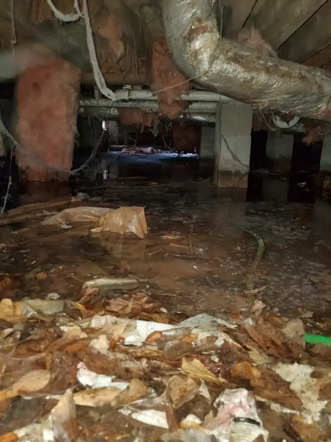 Crawl space flood assessment for Commercial Water Damage Restoration in Jeffersontown