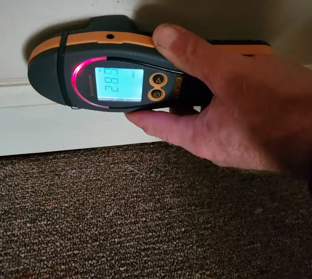Moisture detection at baseboard during Sewage Cleanup & Sanitation in Jeffersontown